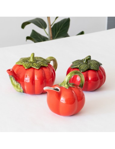 Ensemble de barbotines tomates italiennes acheter en ligne