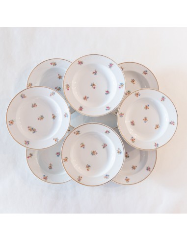 8 assiettes creuses en porcelaine de Limoges les muscles