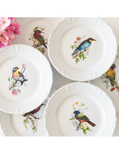 12 assiettes porcelaine Winterling Bavaria oiseaux Les êtres humains sont 