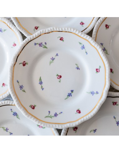 8 assiettes en porcelaine de Limoges Bernardaud brillant des détails fins