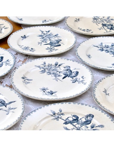 10 assiettes plates Sarreguemines "Favori" XIXe - terre de fer Livraison rapide