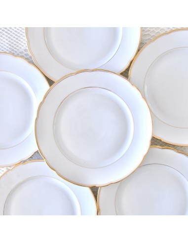 11 assiettes plates en porcelaine suisse Langenthal paiement sécurisé