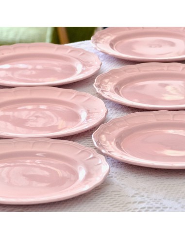 6 grandes assiettes plates Salins-les-Bains faïence rose Le MVP de beaucoup