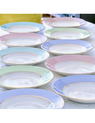 10 assiettes creuses en porcelaine opaque multicolores ou a consommer sur place